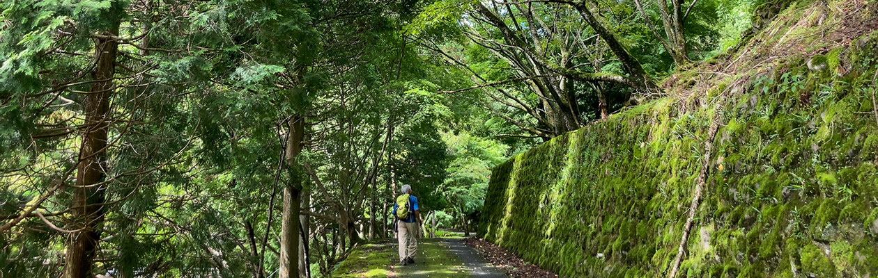 深緑を身体全体に