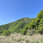 107青空と山の緑が絵になります.JPG