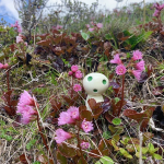 133定番の写真.JPG