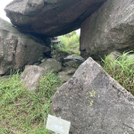 IMG_4164.jpeg