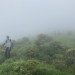 IMG_4211.jpeg